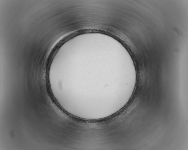 X0000113370976200910131317