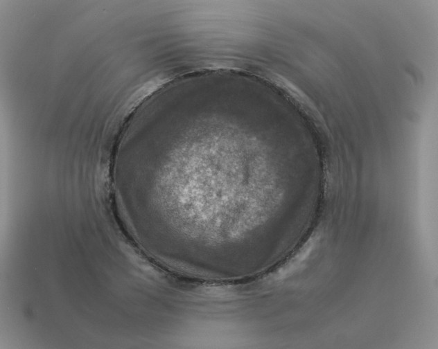X0000113370977200910131317