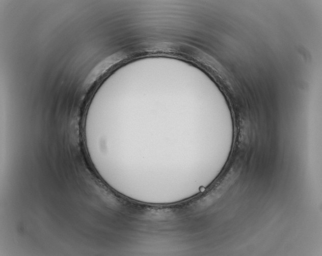 X0000113370978200910131317