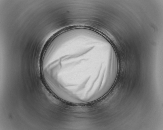 X0000113370980200910131317