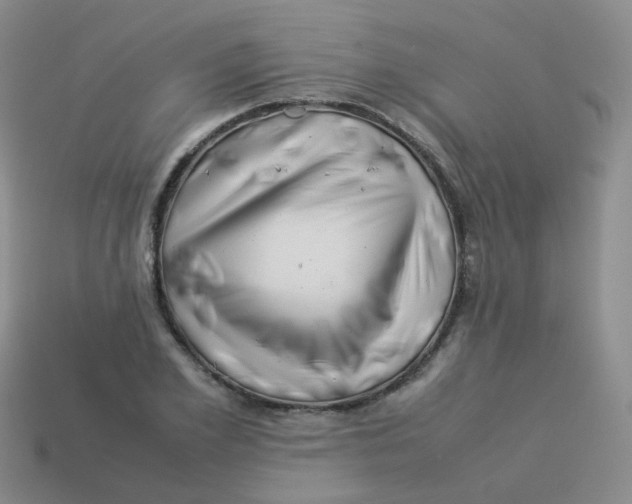 X0000113370981200910131317