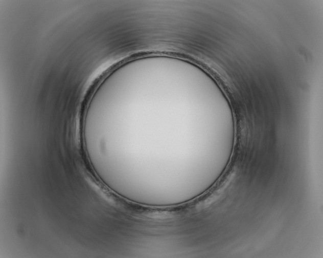 X0000113370982200910131317