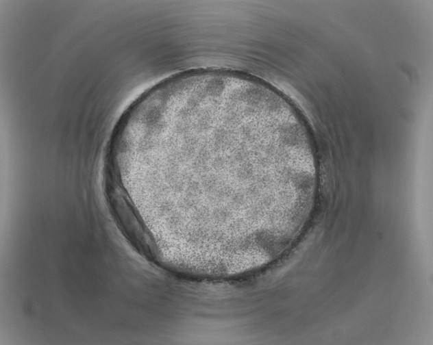 X0000113370983200910131317