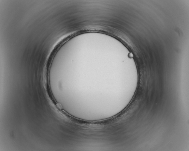 X0000113370984200910131317