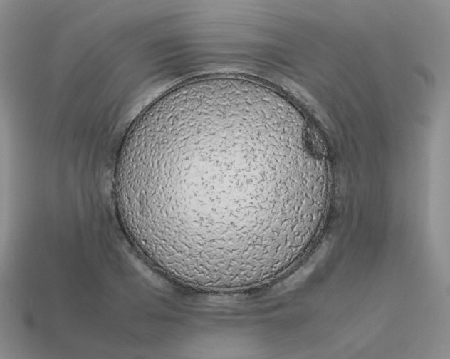 X0000113370985200910131317