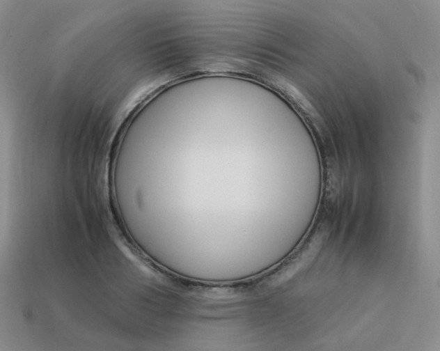 X0000113370986200910131317