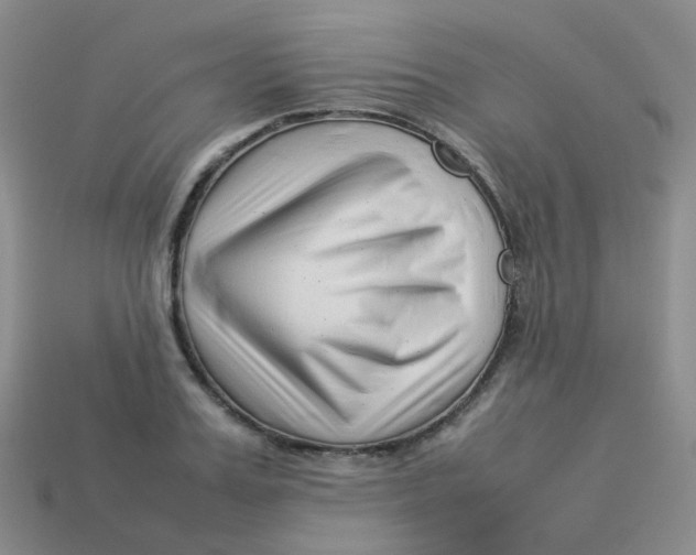 X0000113370987200910131317