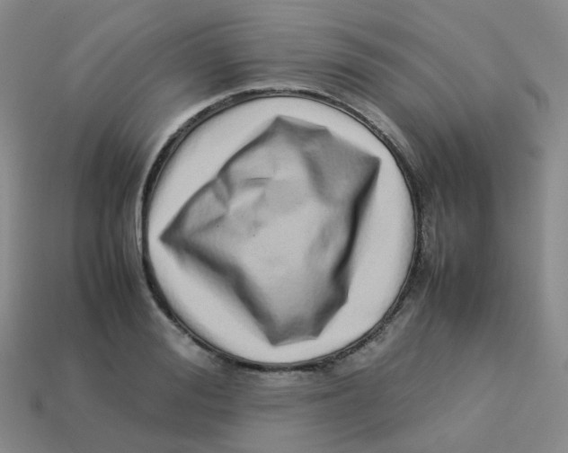 X0000113370988200910131317