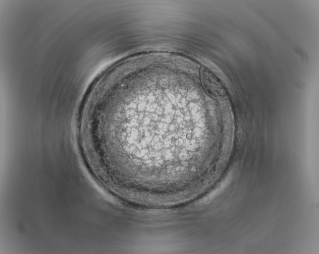 X0000113370989200910131317