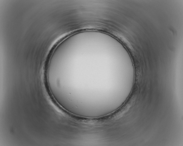 X0000113370991200910131317