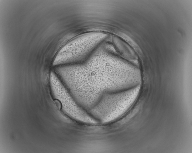 X0000113370993200910131317