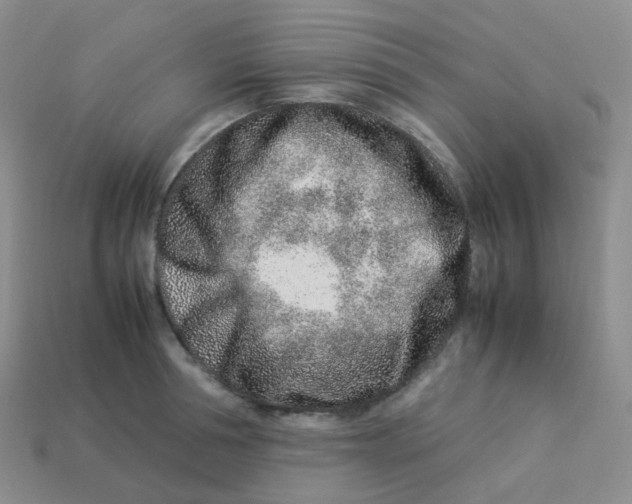 X0000113370994200910131317