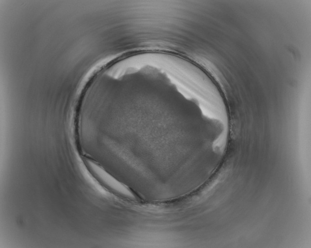 X0000113370995200910131317