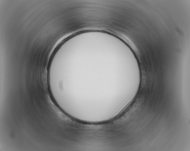 X0000113370996200910131317