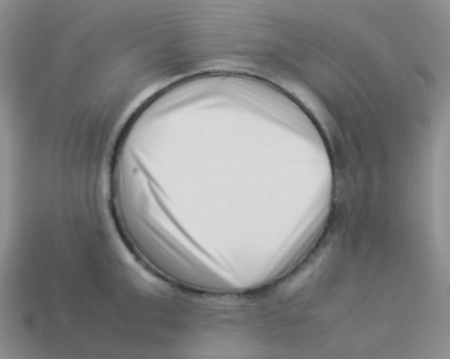 X0000113370999200910131317