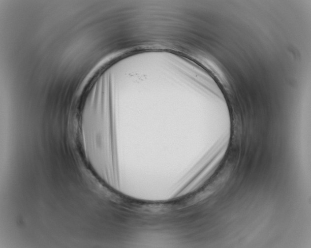 X0000113371000200910131317