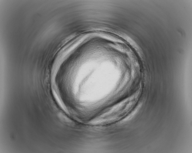 X0000113371001200910131317