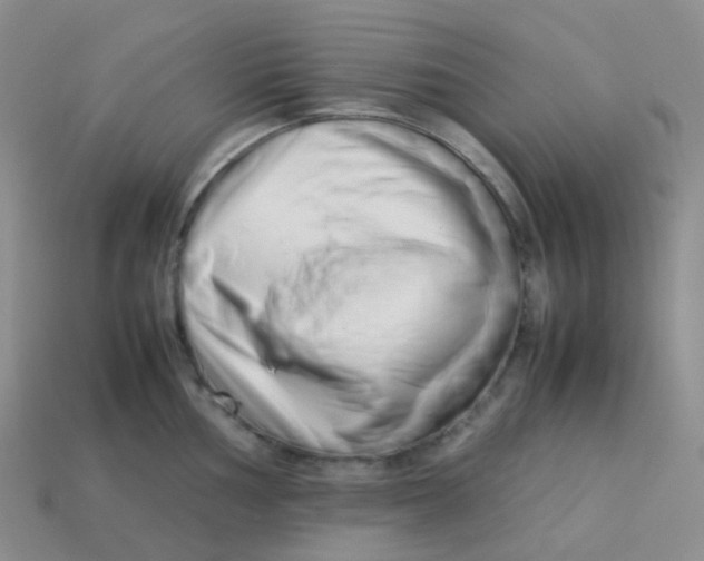 X0000113371002200910131317