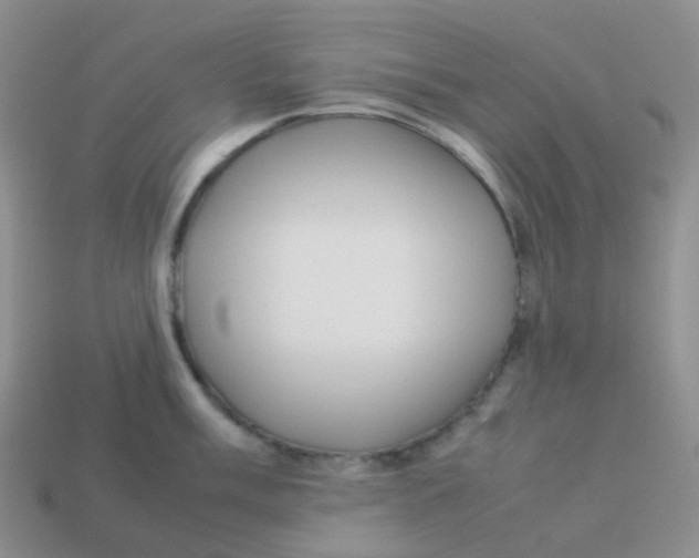X0000113371003200910131317