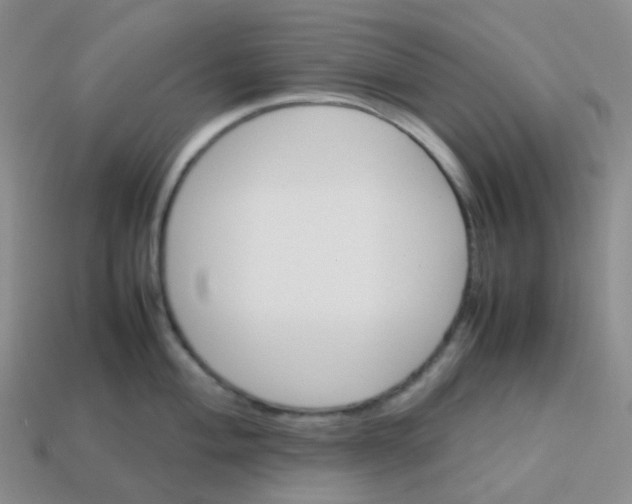 X0000113371004200910131317