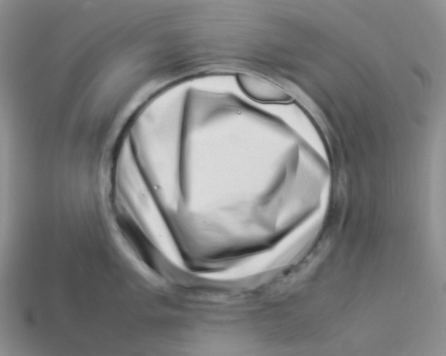 X0000113371005200910131317