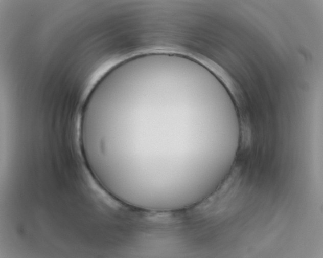 X0000113371006200910131317