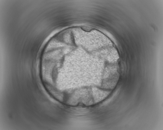 X0000113371007200910131317