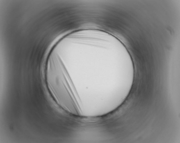 X0000113371008200910131317