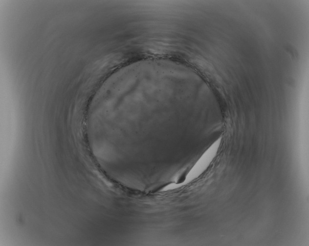 X0000113371009200910131316