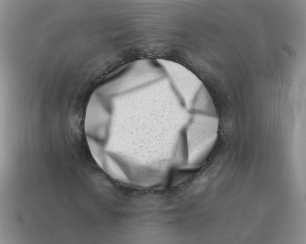 X0000113371010200910131316