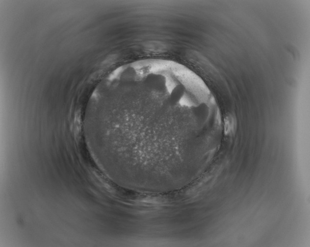 X0000113371011200910131316