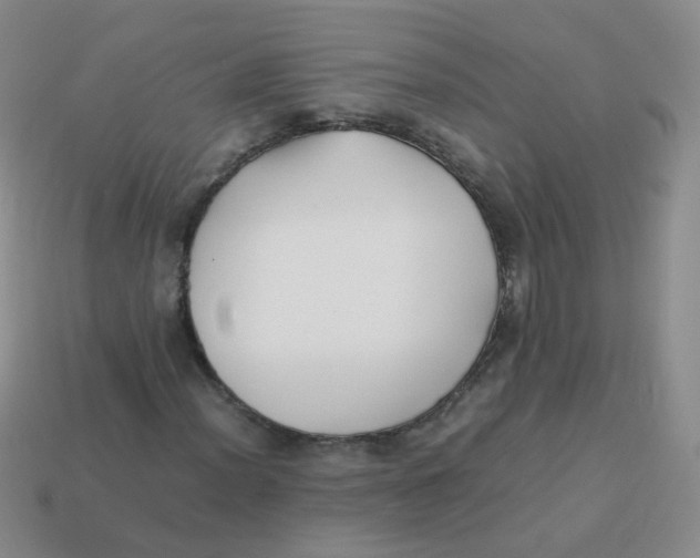 X0000113371012200910131316