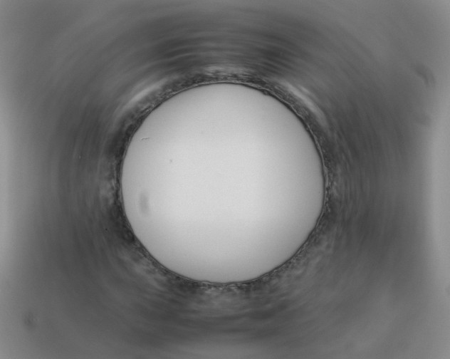 X0000113371015200910131316