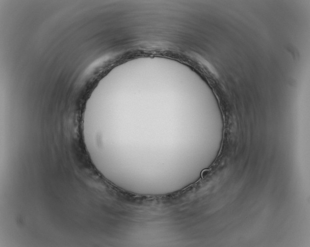 X0000113371016200910131316