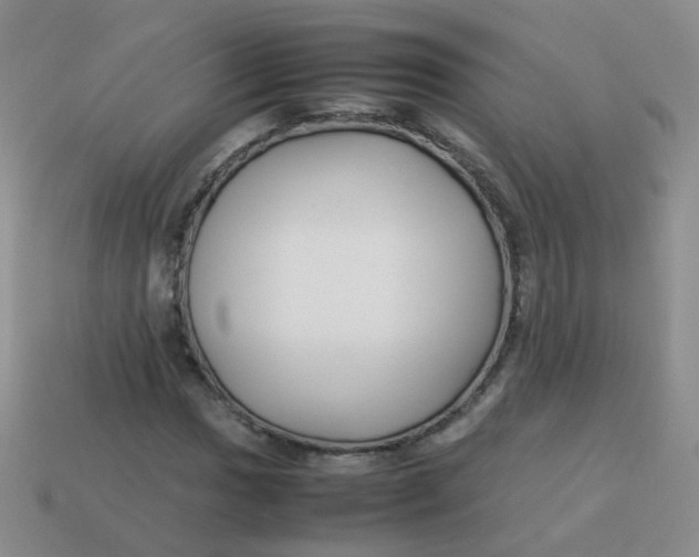 X0000113371017200910131316