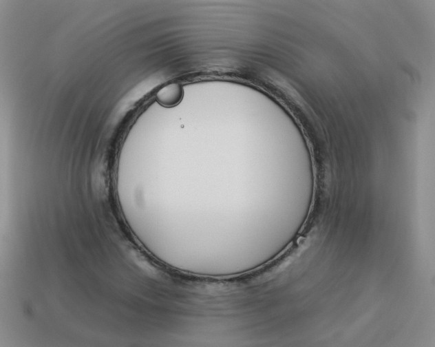 X0000113371018200910131316