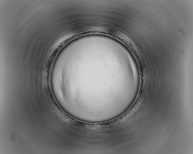 X0000113371019200910131316