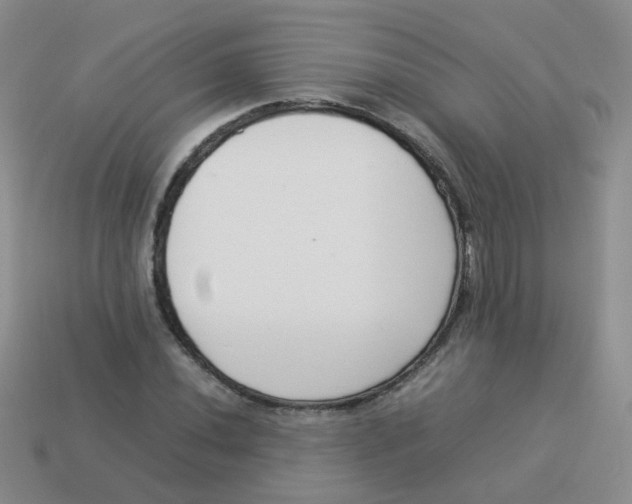 X0000113371020200910131316
