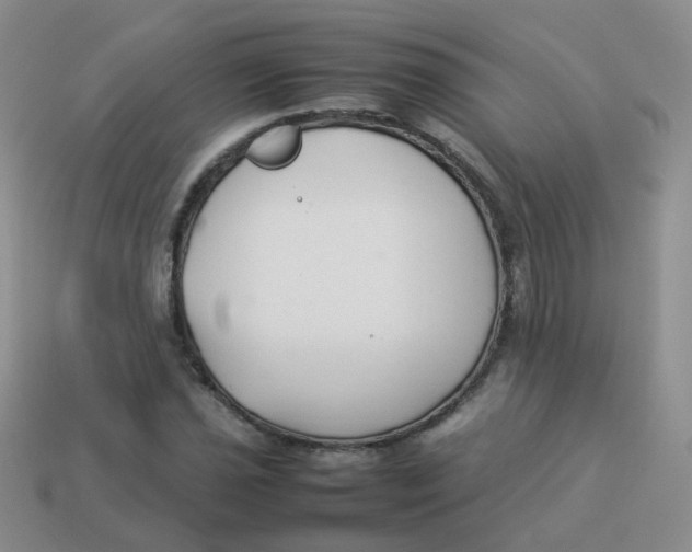 X0000113371021200910131316
