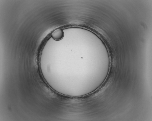 X0000113371022200910131316