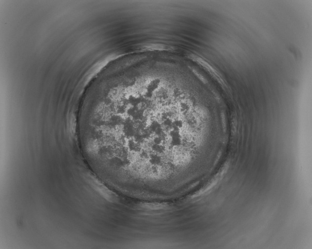 X0000113371023200910131316