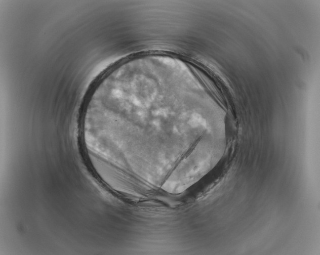 X0000113371024200910131316