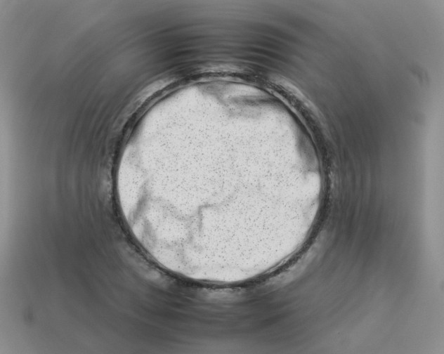X0000113371025200910131316