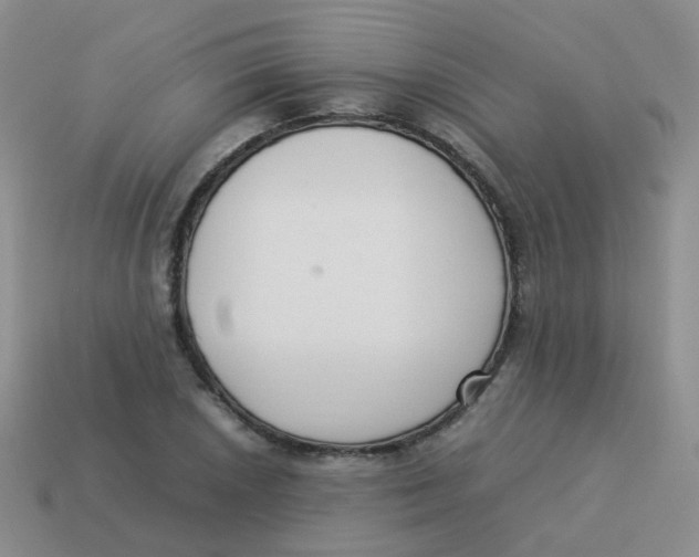 X0000113371026200910131316