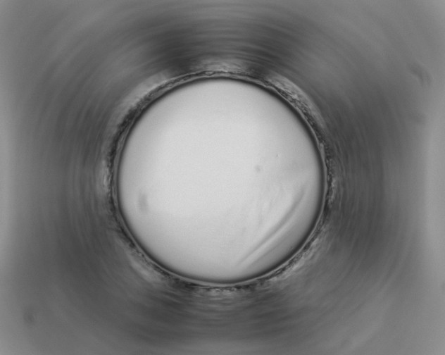 X0000113371027200910131316