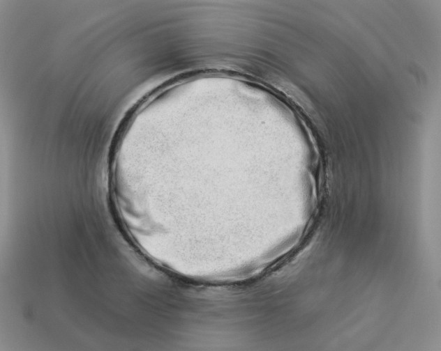 X0000113371028200910131316