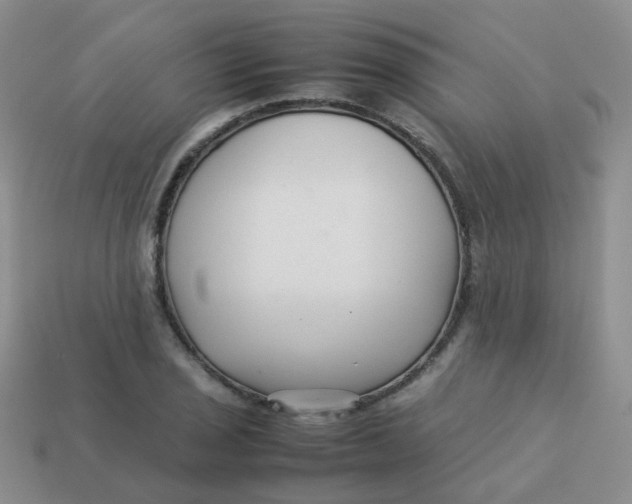 X0000113371029200910131317