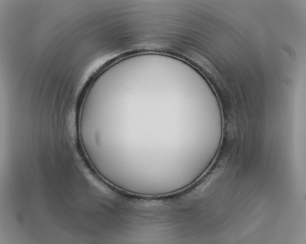 X0000113371030200910131317
