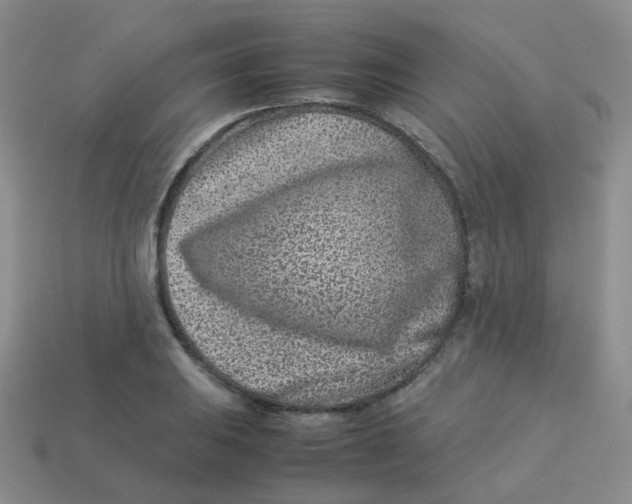 X0000113371031200910131317