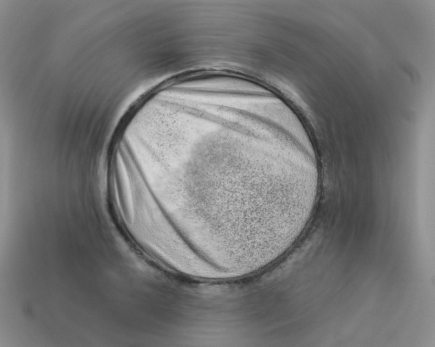 X0000113371032200910131317